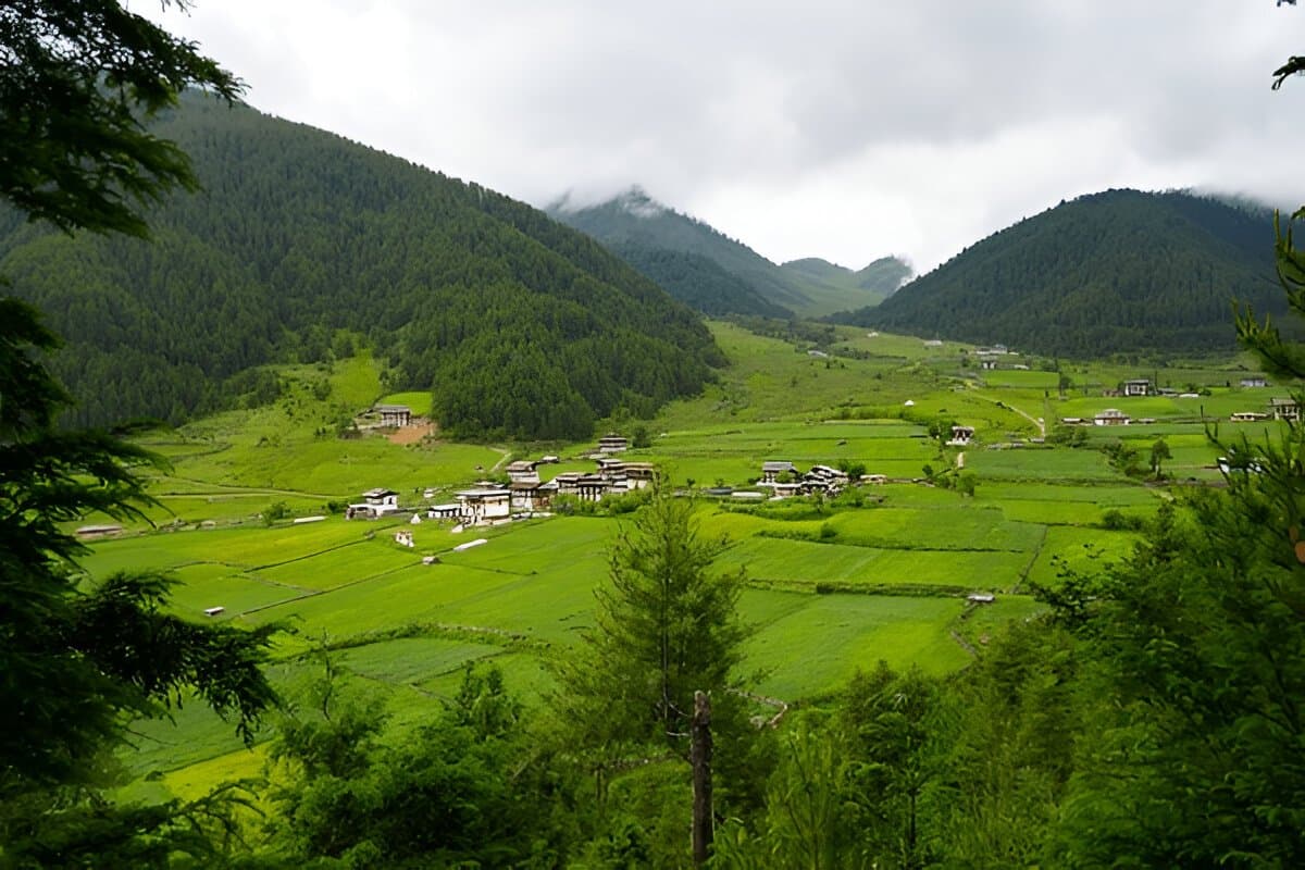 Chelela Pass