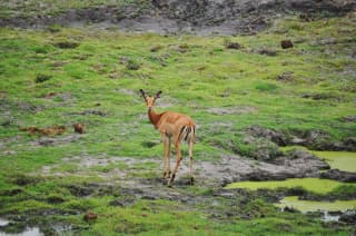 Short Trip to Munnar