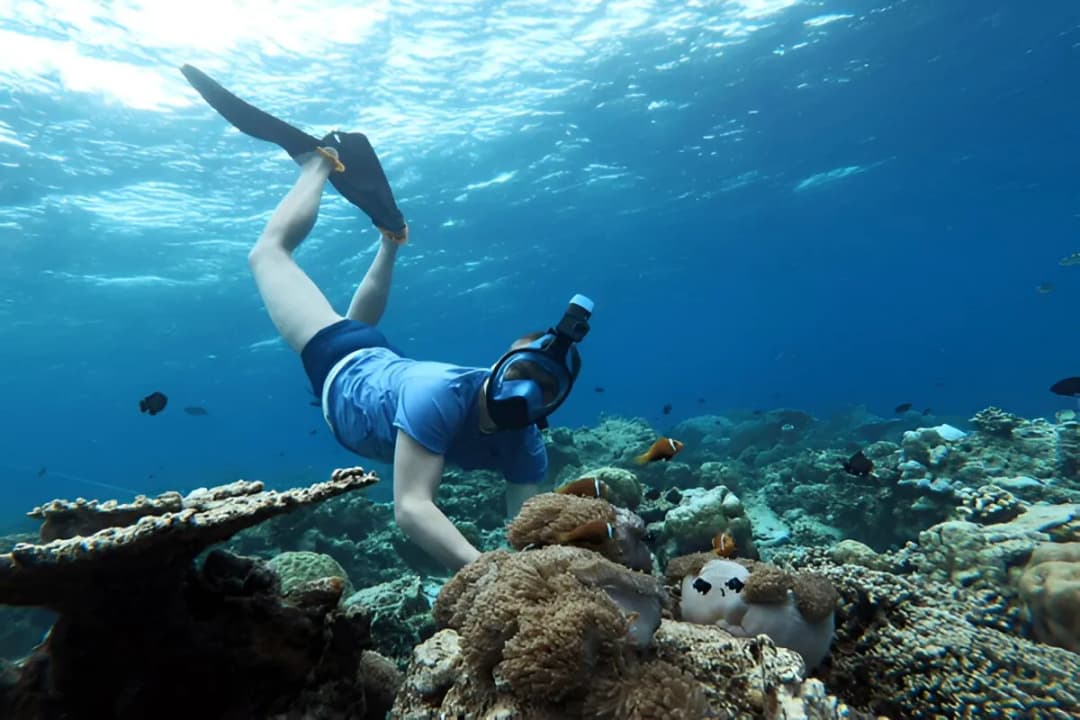 Snorkeling & Diving Spots