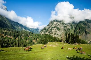 Essence of Srinagar Gulmarg and Pahalgam
