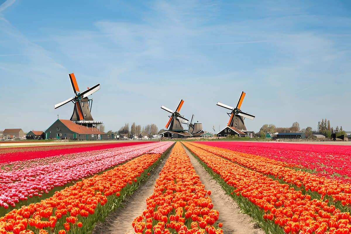 Keukenhof Gardens