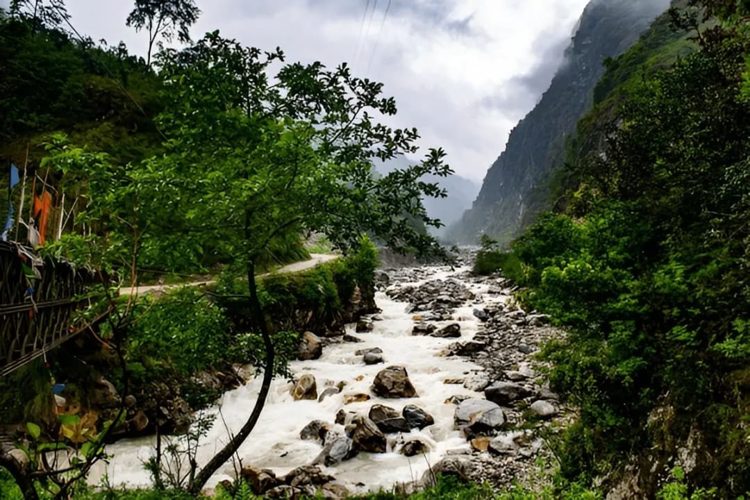 Bird Watching and Wildlife