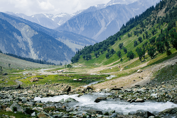 Kashmir Family Tour Packages: Every Family’s Dream Adventure