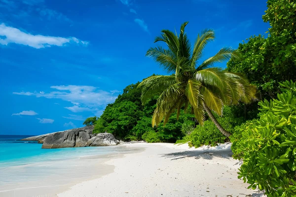 Best Time to Visit Andaman