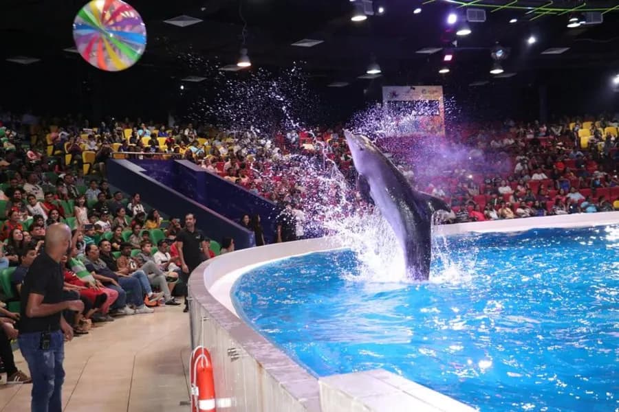 Dubai Dolphinarium