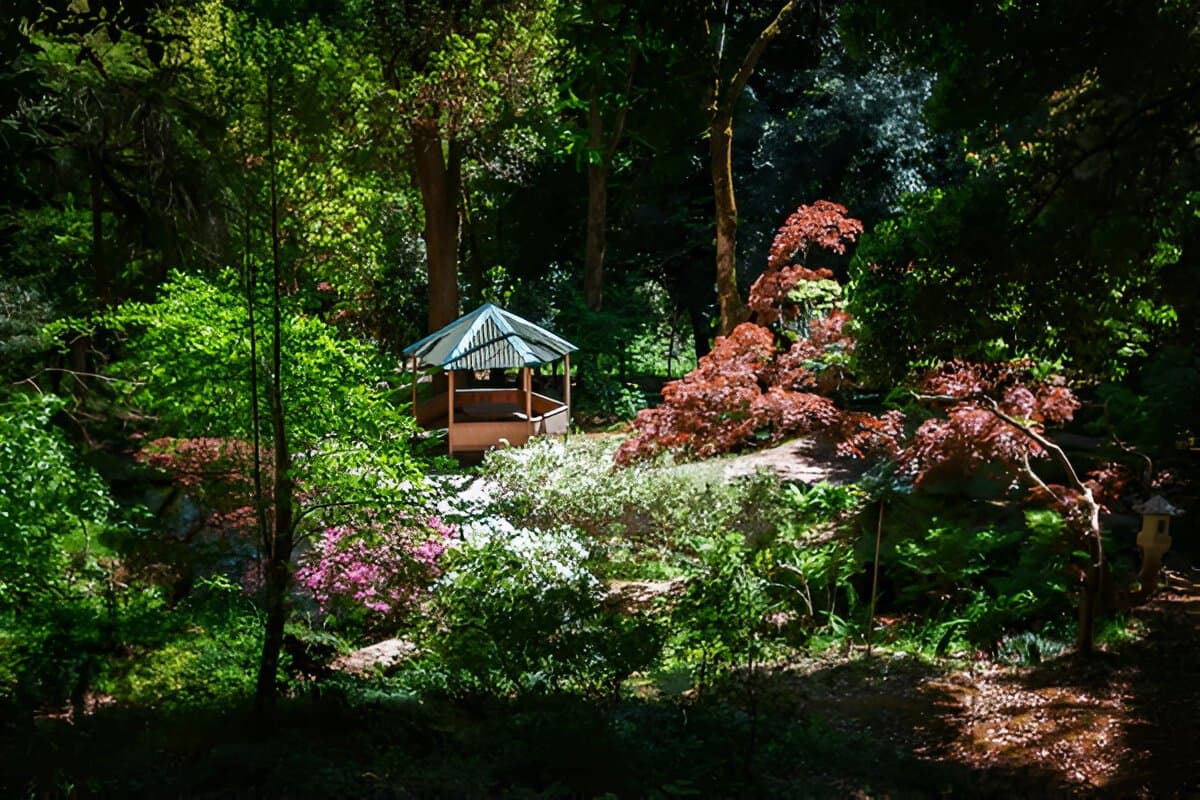 Batumi Botanical Garden