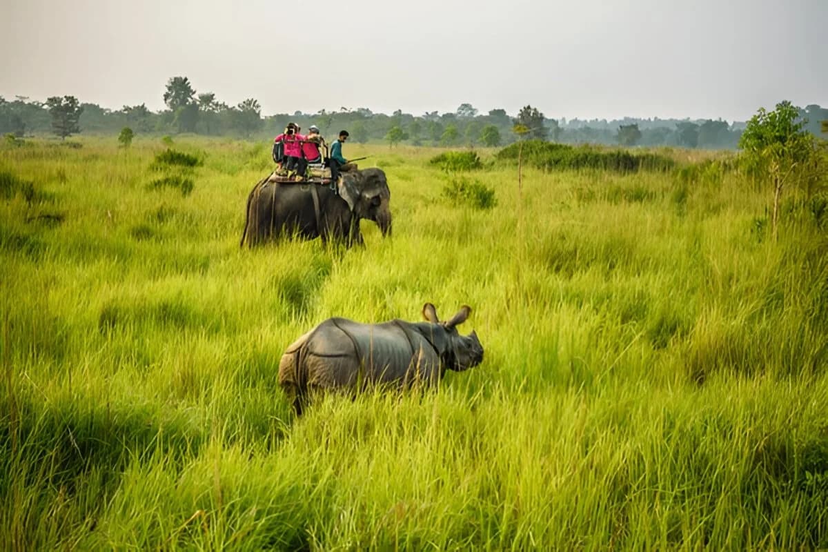 Chitwan, Nepal