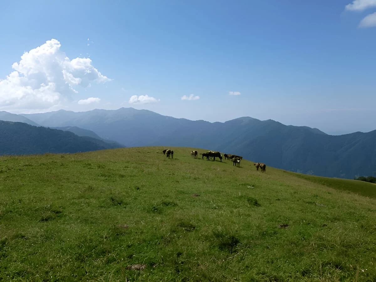 Borjomi &amp; Kharagauli National Park