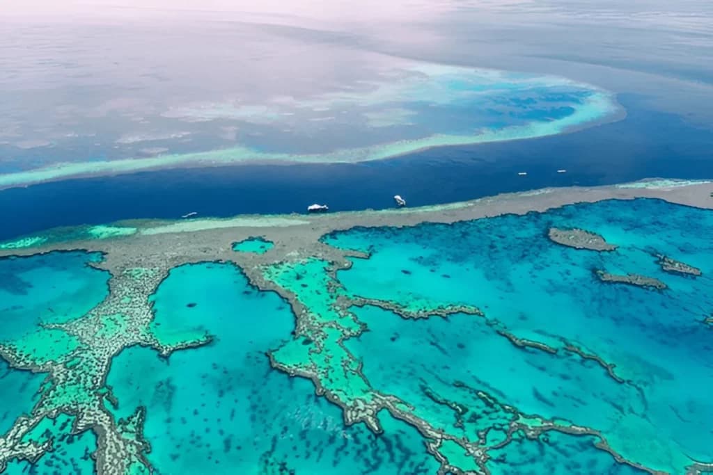 The Great Barrier Reef Can Be Seen From Space