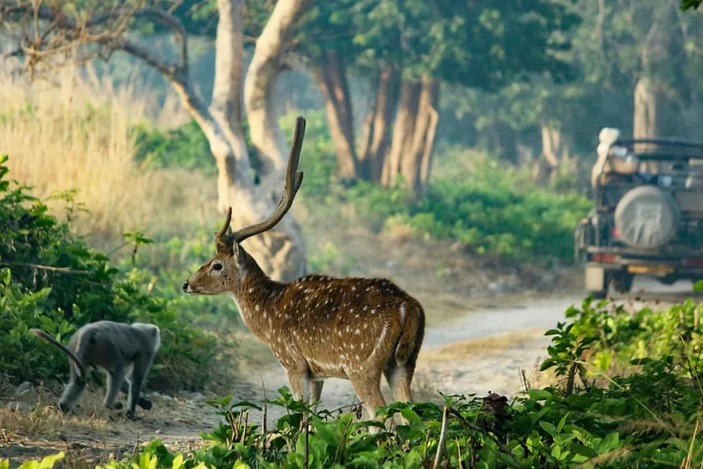 Best Time to Visit Madhya Pradesh