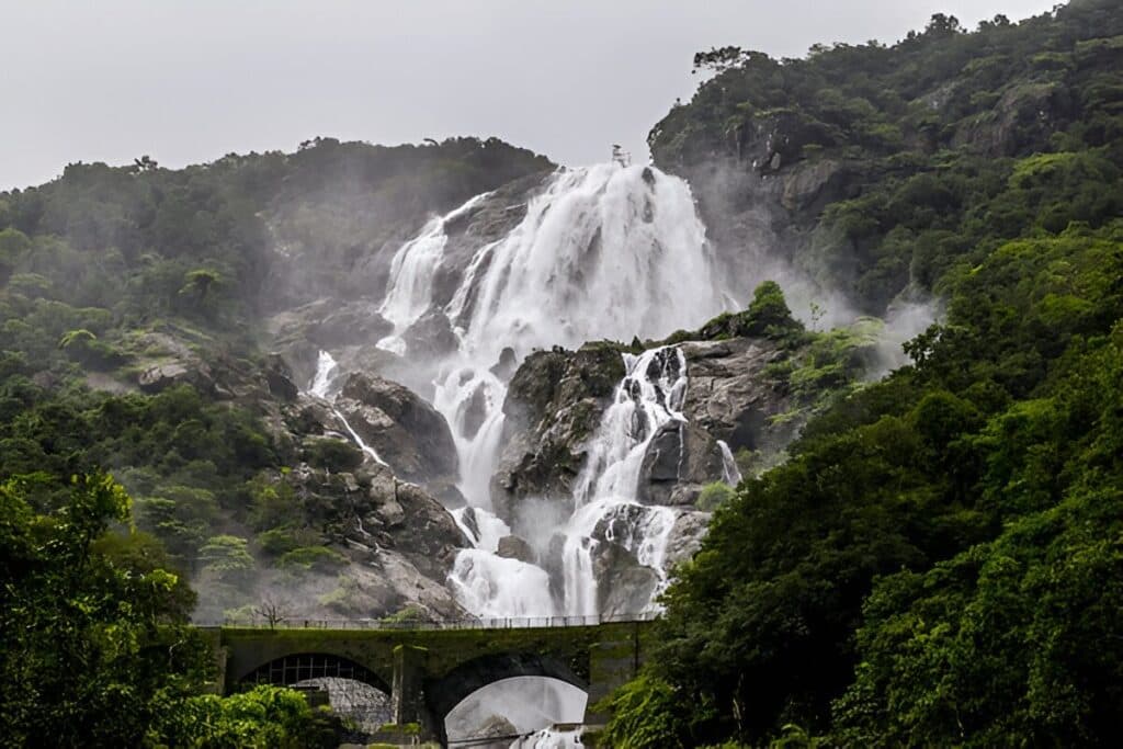 Trekking at Dudhsagar Falls