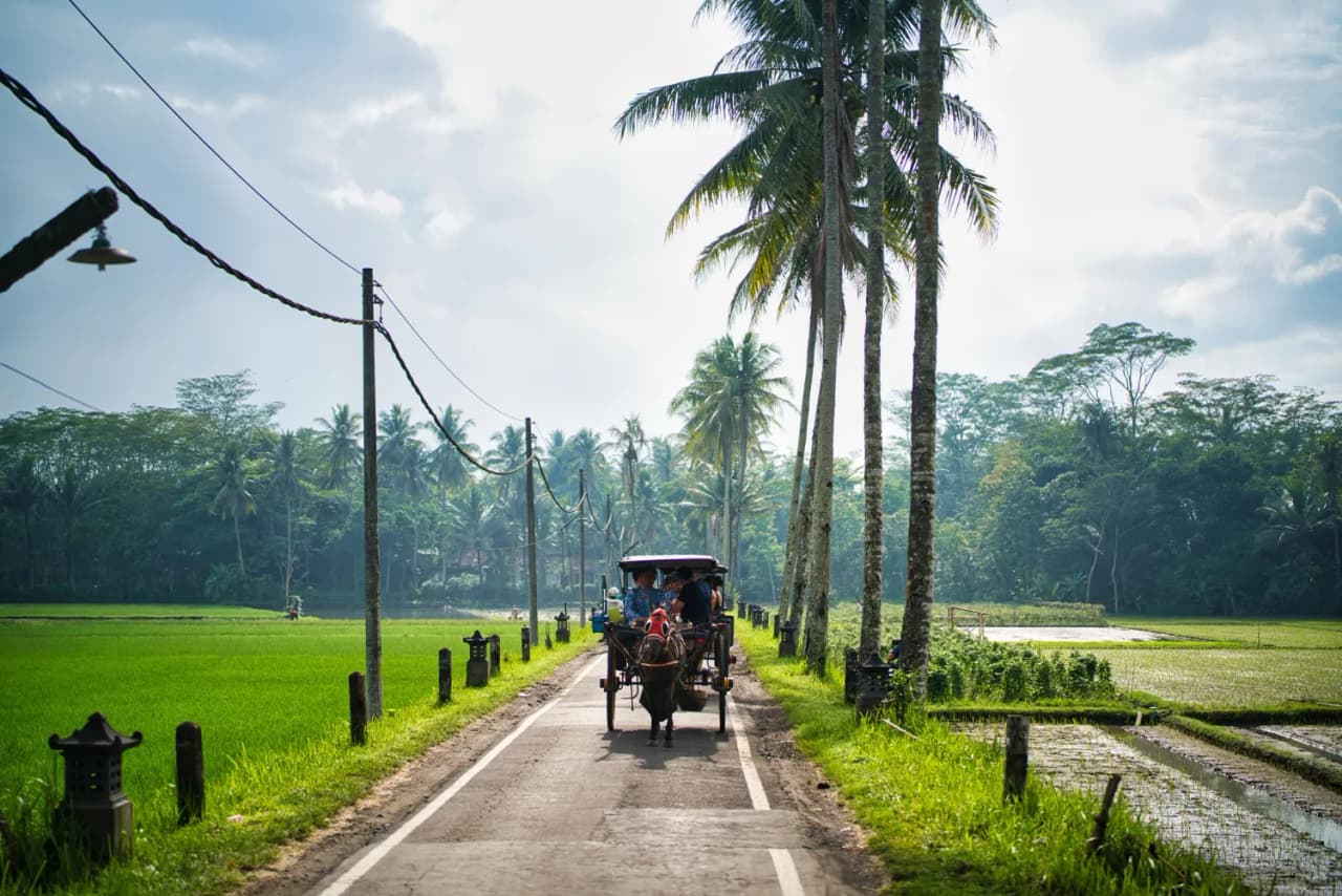 Kerala Charm & Calm with Priva