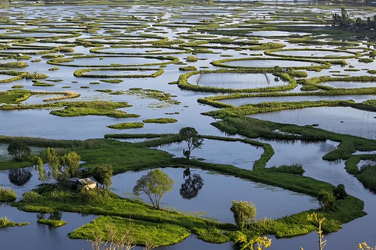 Loktak Lake