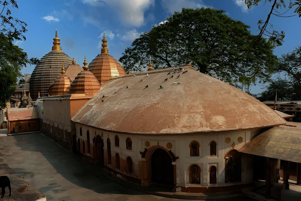 Assam and Meghalaya