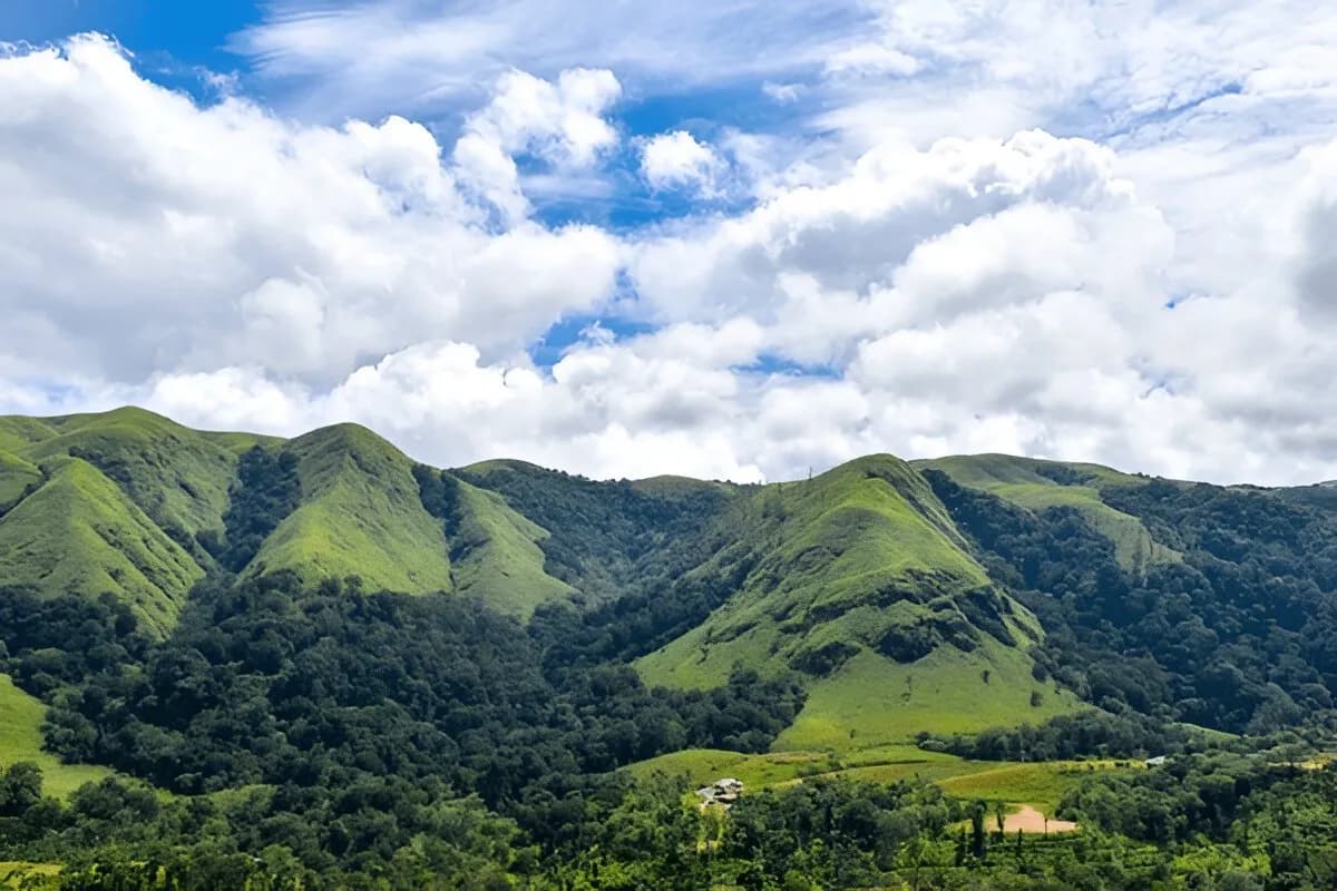 Parunthumpara View Point