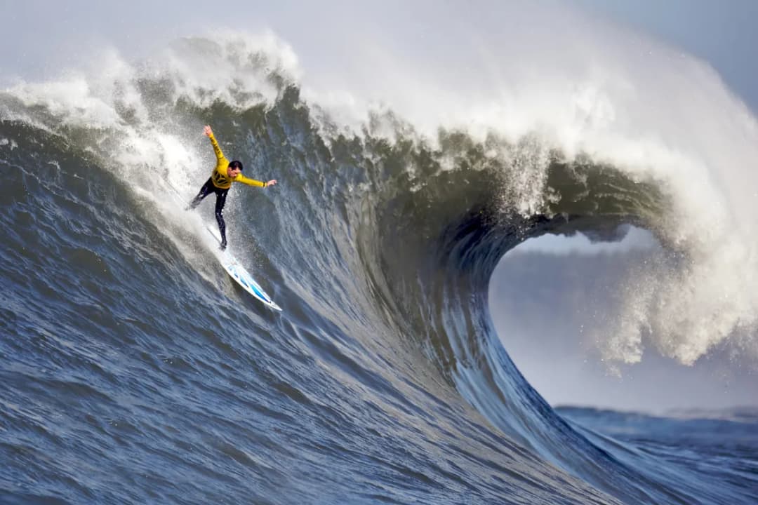 Professional surf competitions: