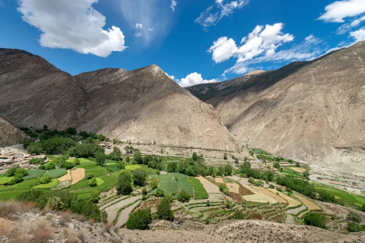 Chadar Trek