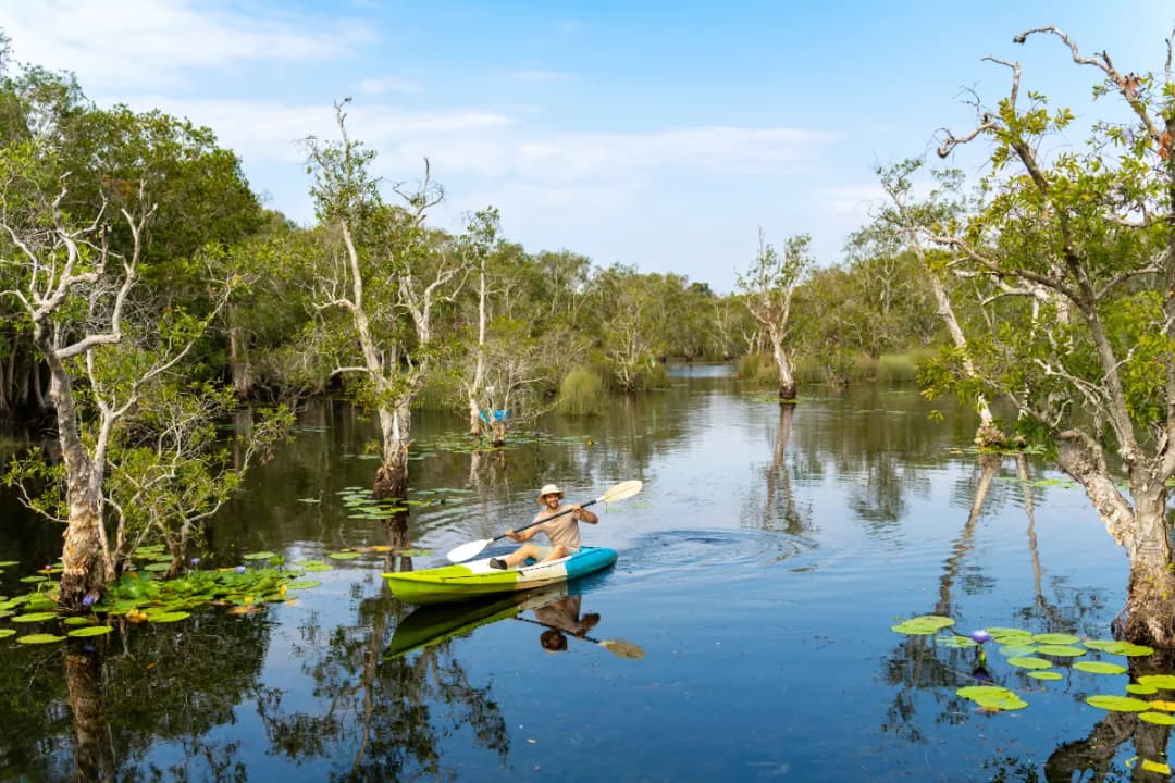 Baratang Mangrove Ride