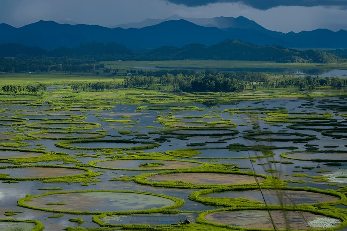 Loktak Lake