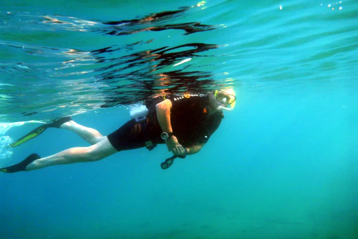 Snorkelling and Diving