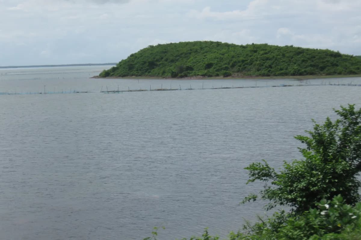 Chilika Lake