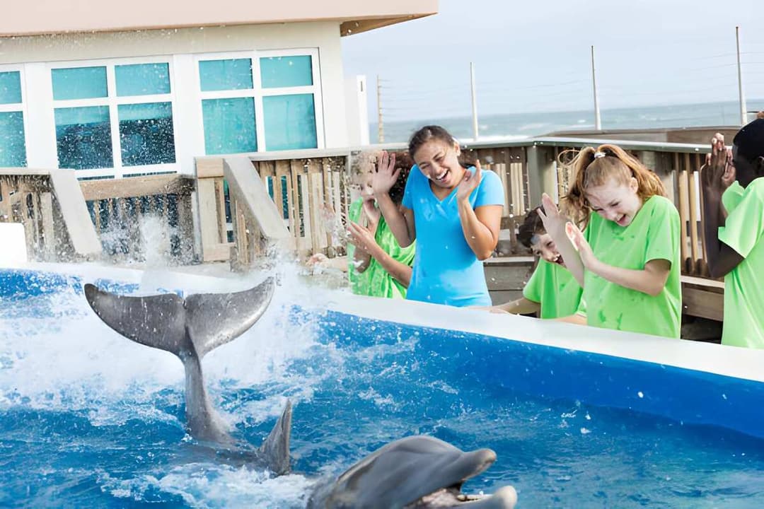 Kid-Friendly Environment