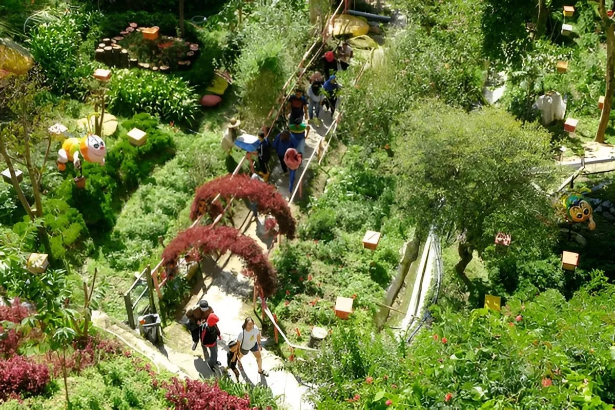 Honey Bee Farm Malaysia