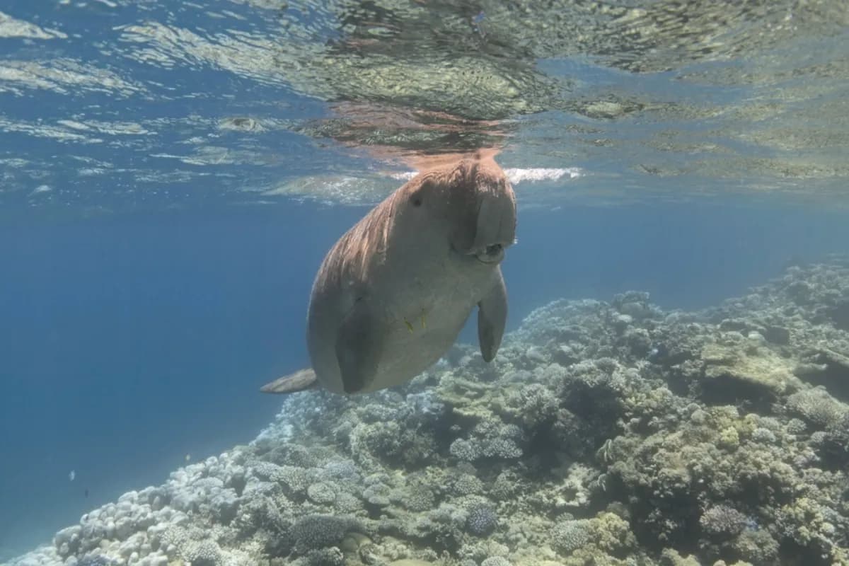 Rani Jhansi Marine National Park