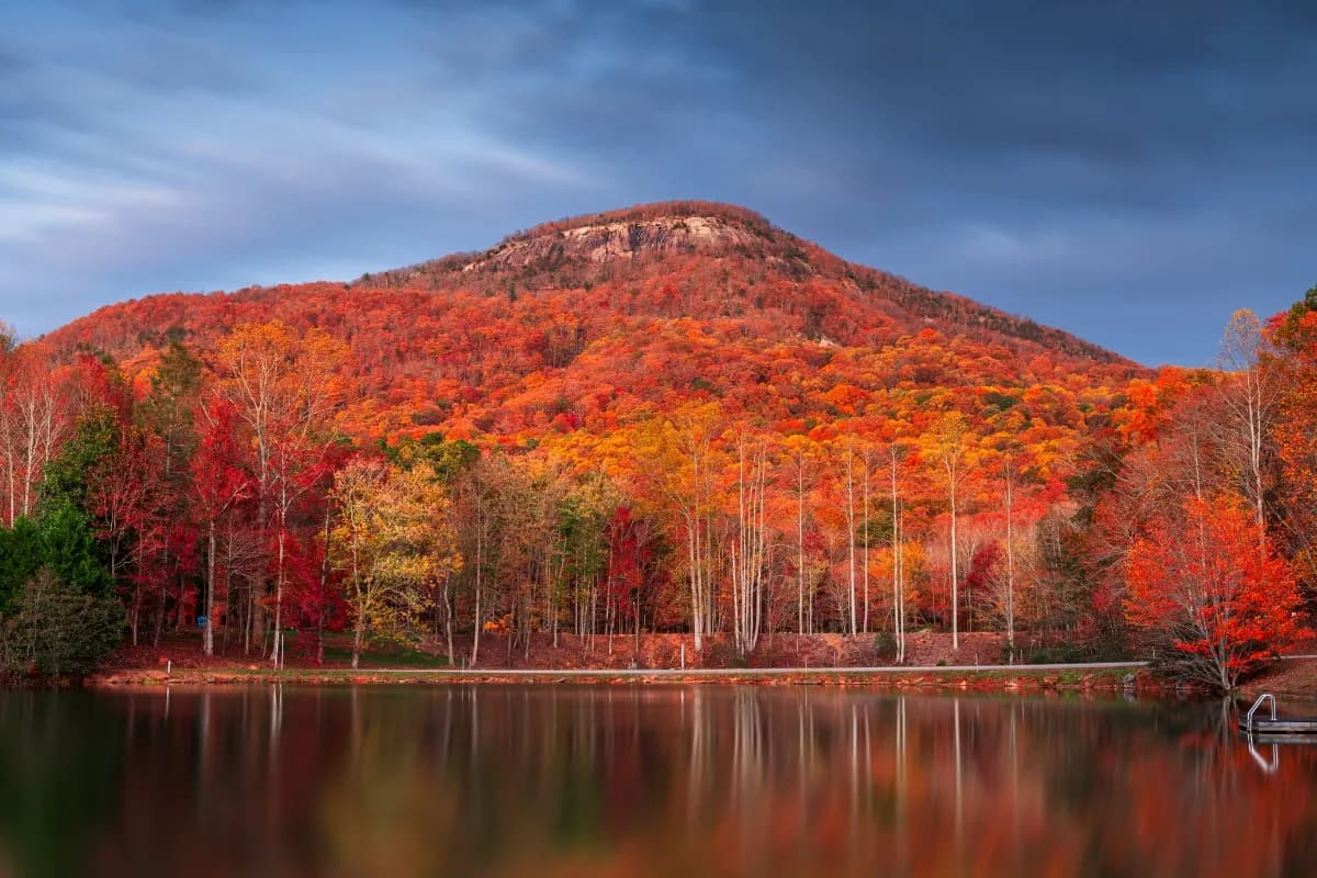 Chattahoochee Oconee National Forest