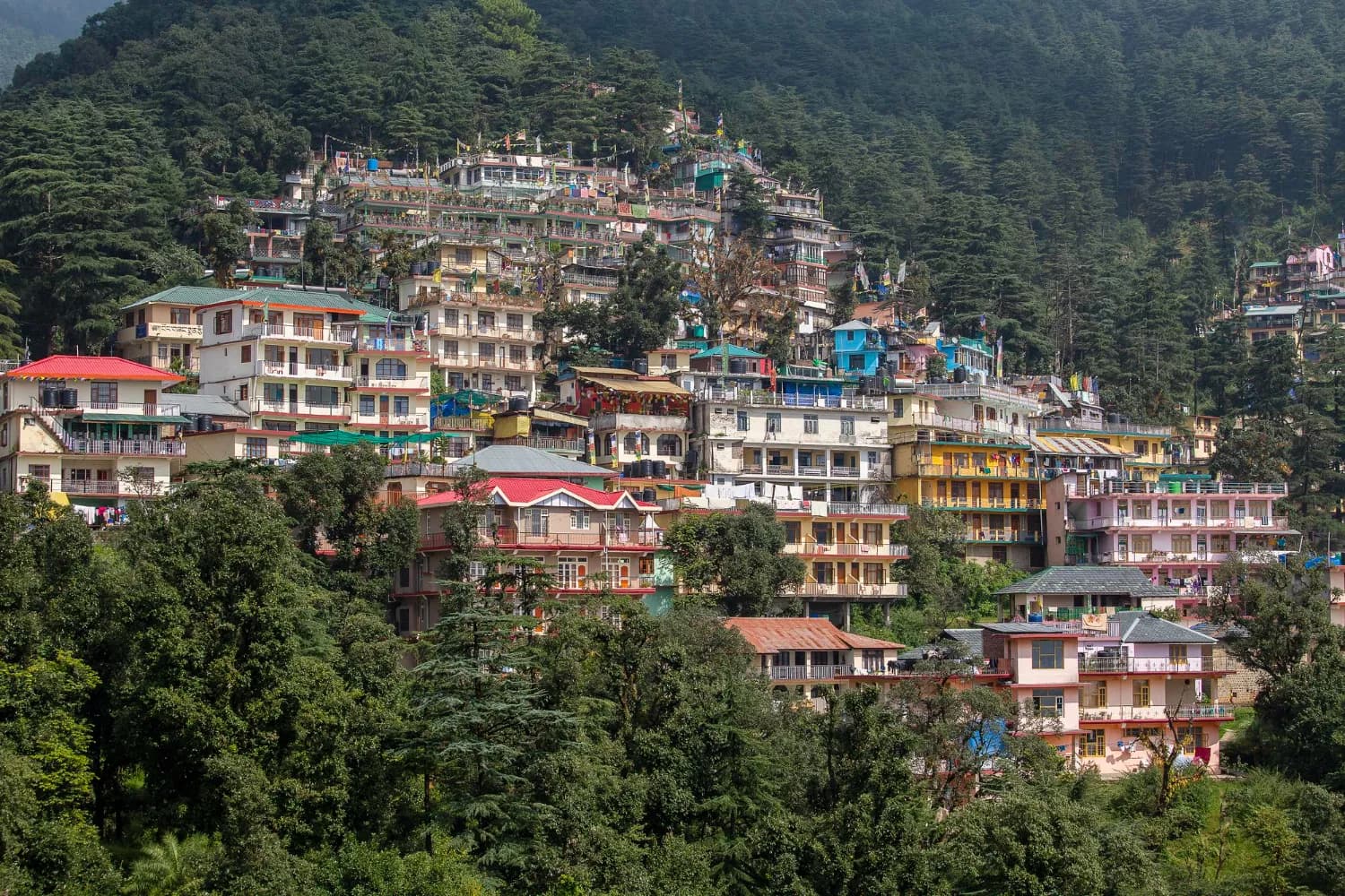 Short Trip to Dharamshala