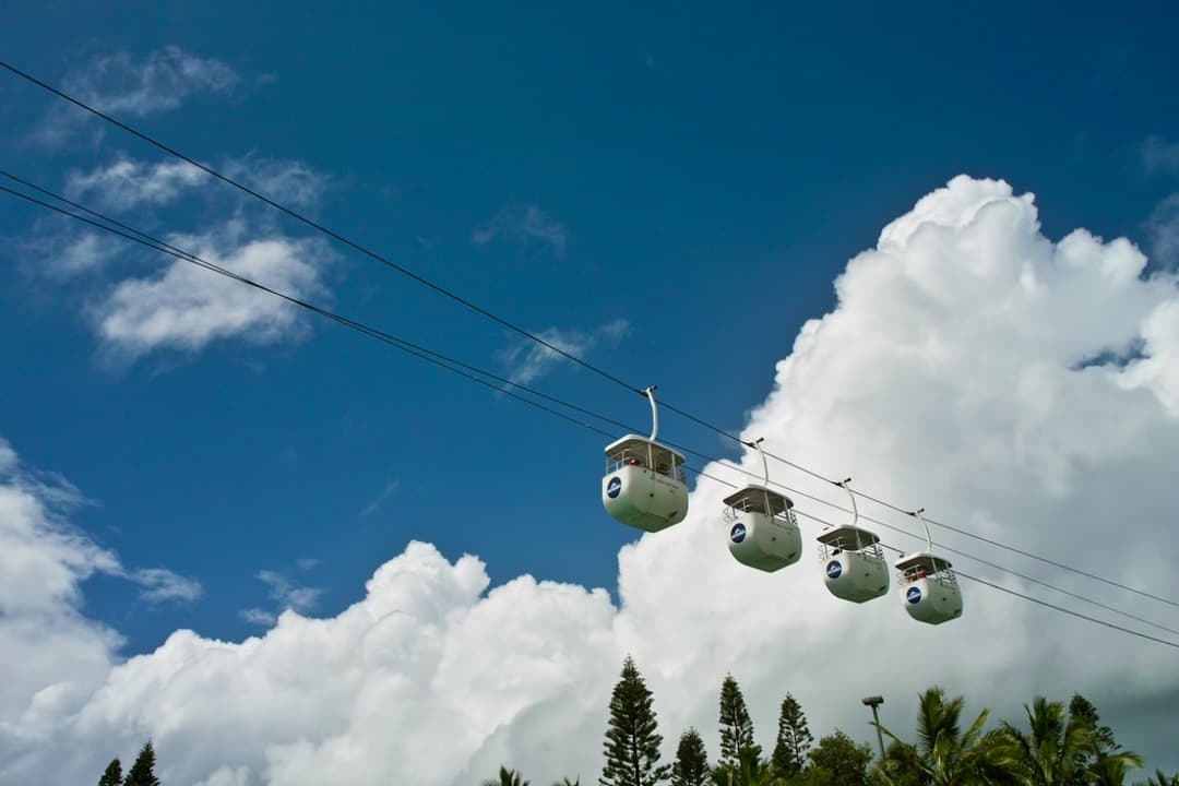 The Sea World Sky High