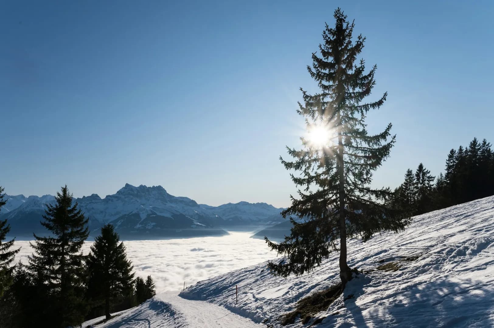 Leysin