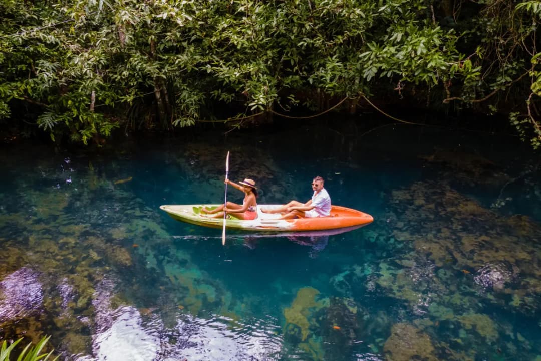 Port Blair Mangroves
