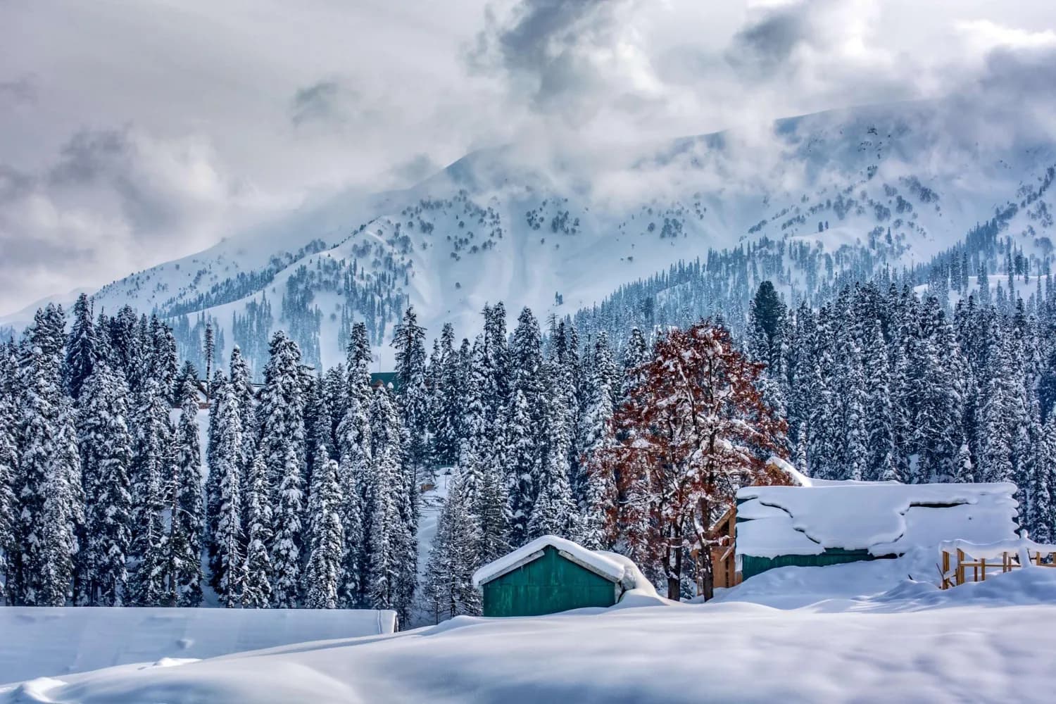 Simply Himachal