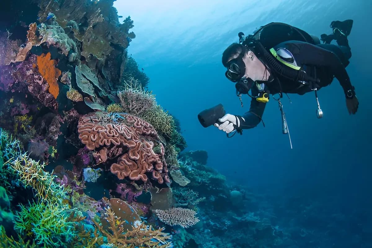 Scuba Diving in the Andaman