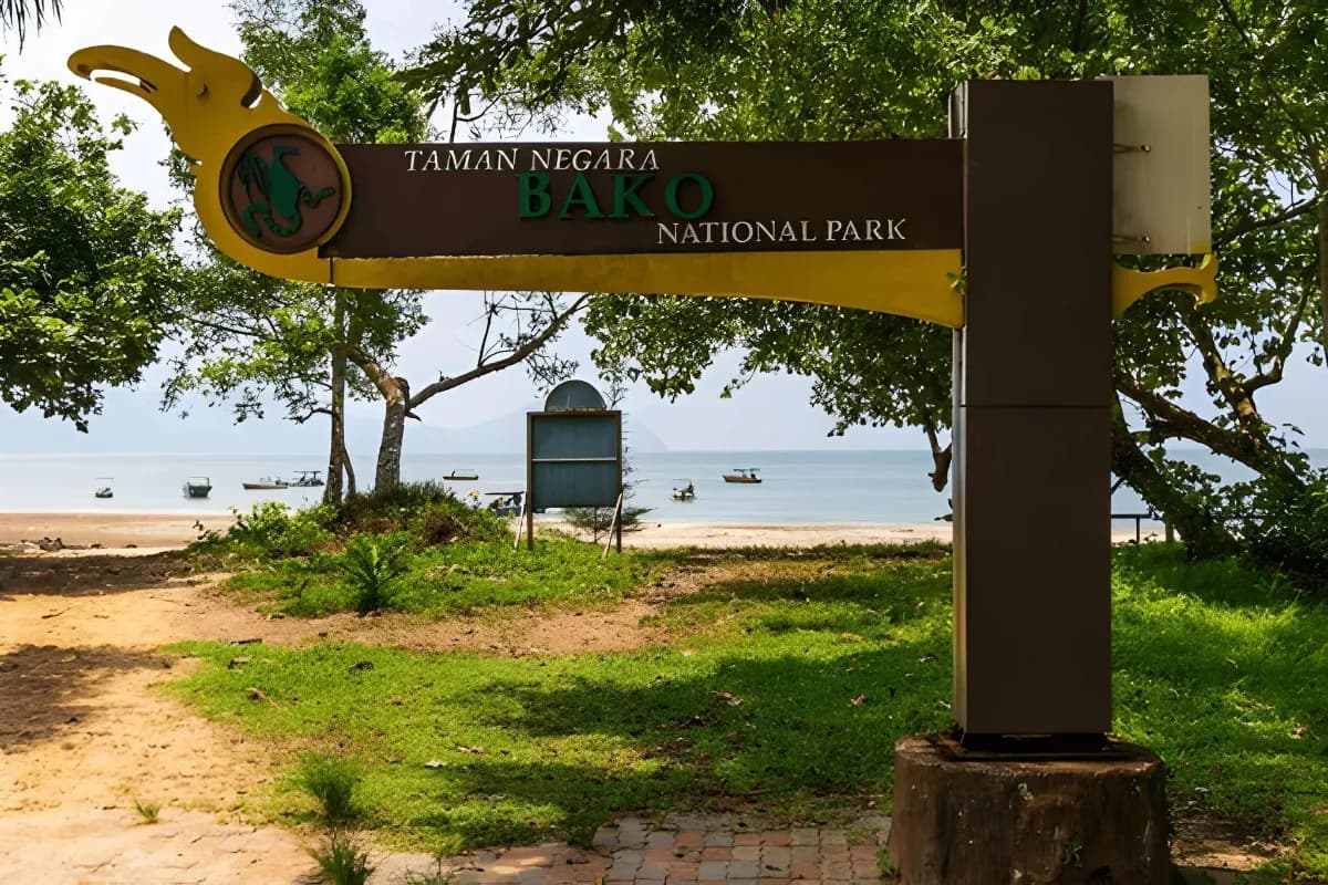 Taman Negara National Park