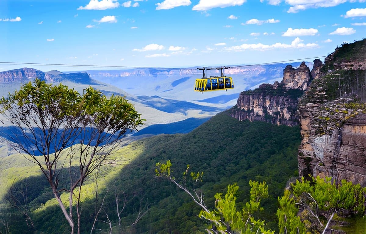 Skyrail Rainforest Cableway