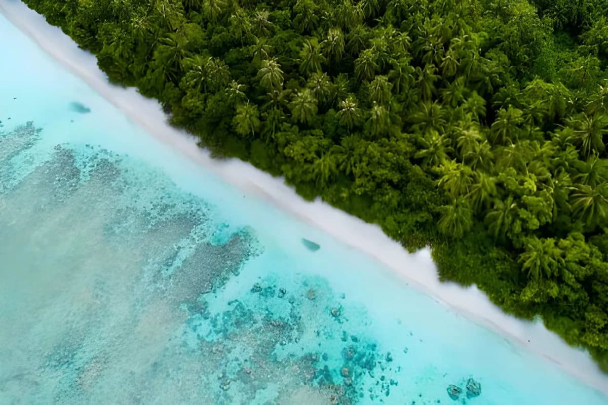 Vaadhoo