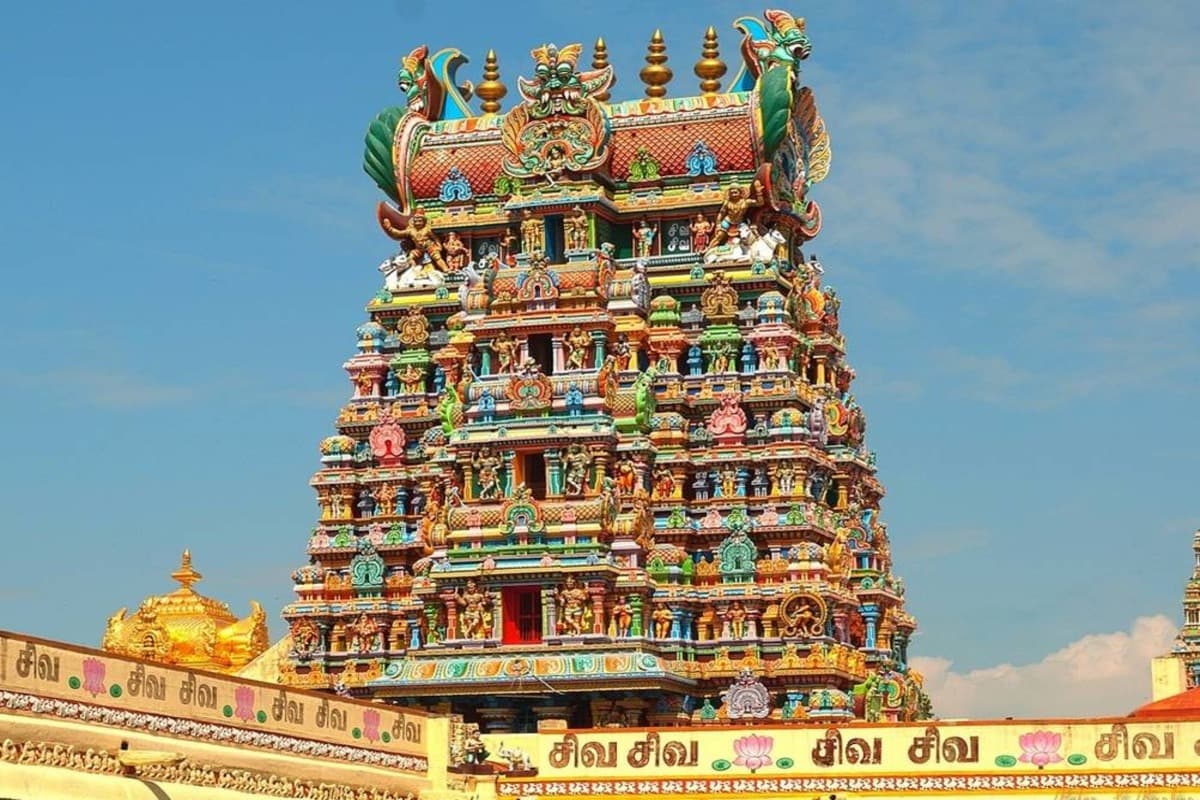 attractionImage