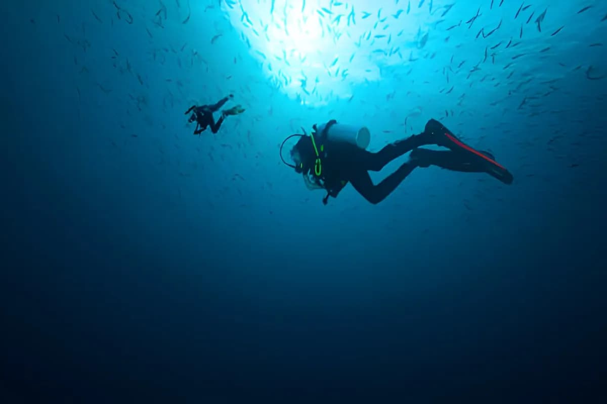 Scuba Diving in Maldives