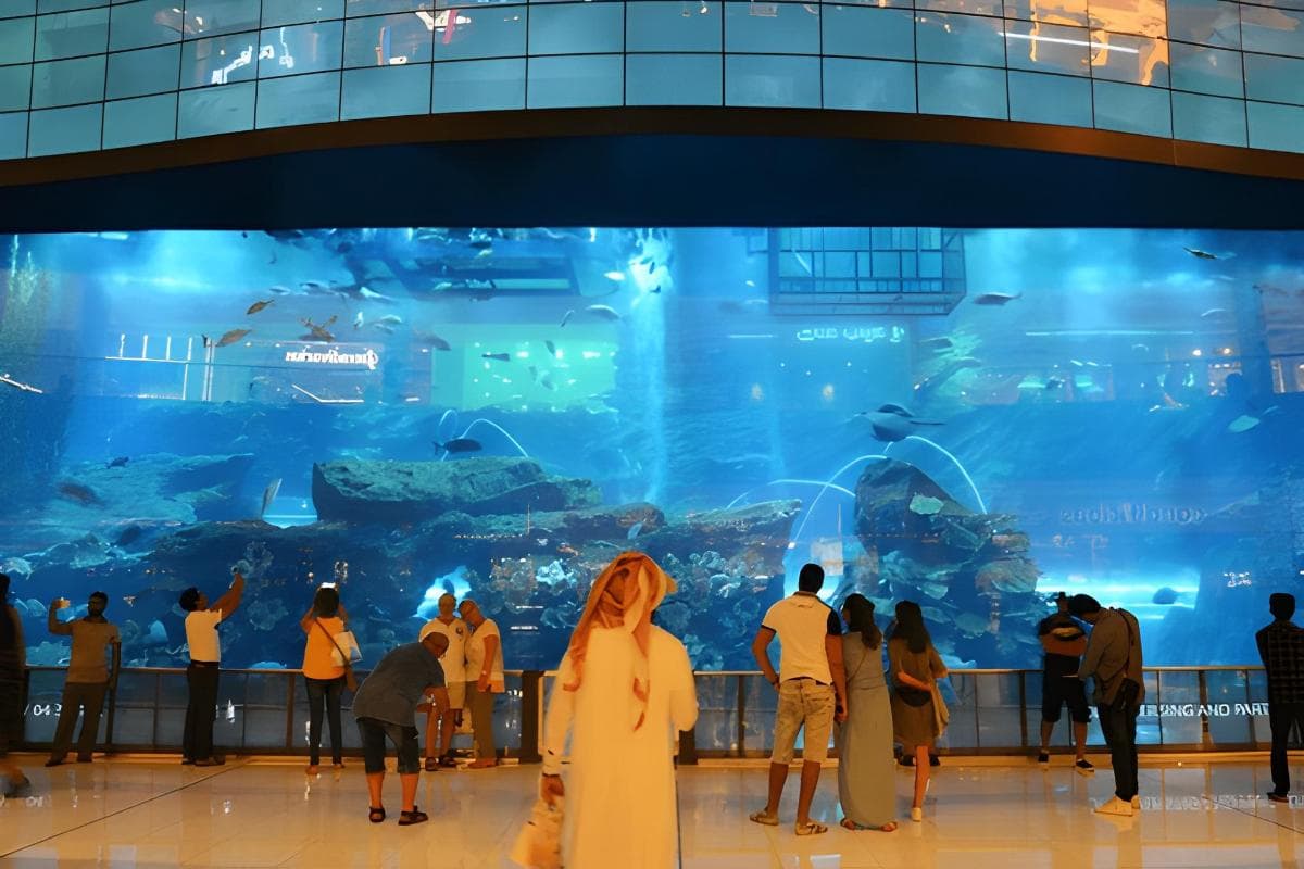 Dubai Aquarium & Underwater Zoo