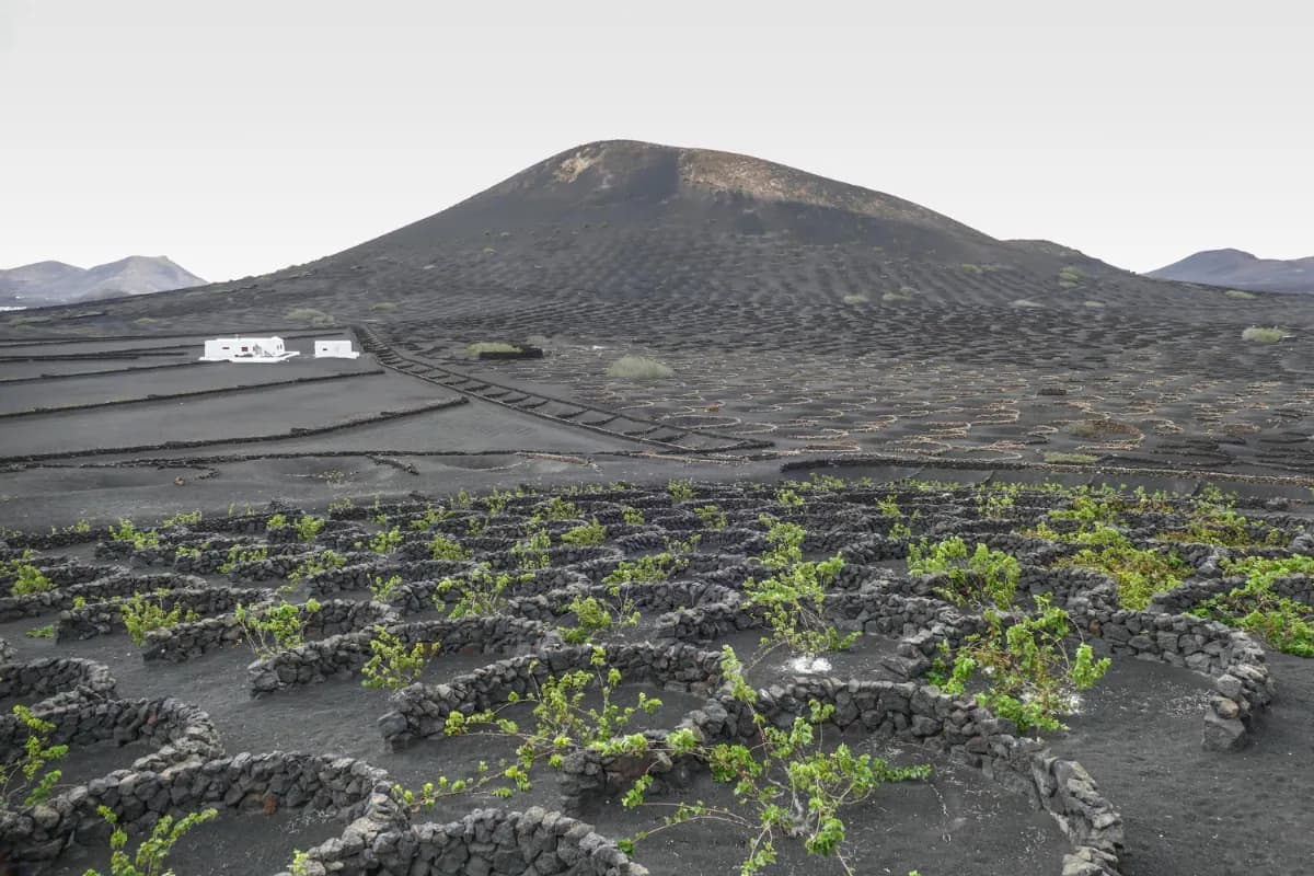 Mud Volcano in Andaman