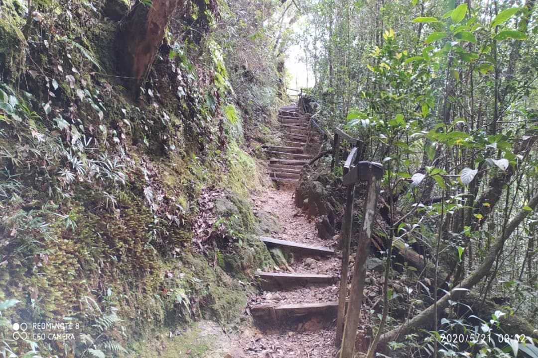 Kinabalu Summit Trail