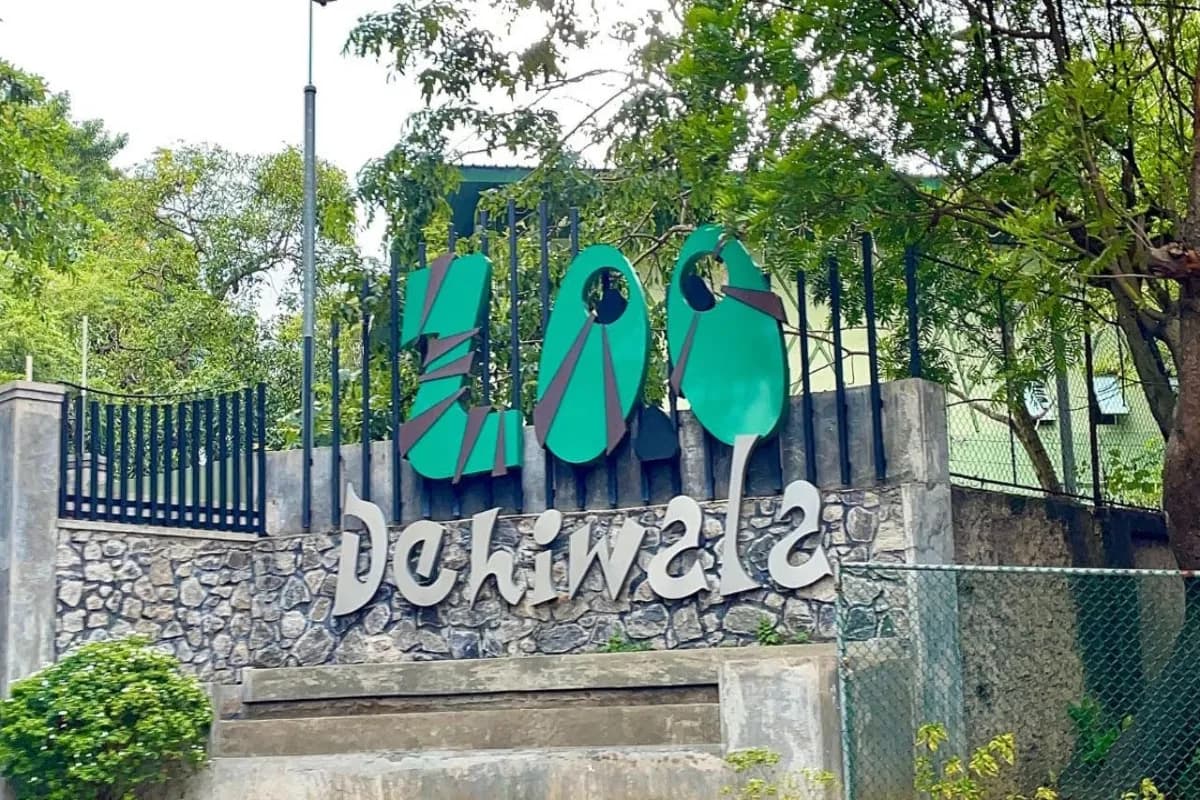 Colombo Dehiwala Zoological Gardens