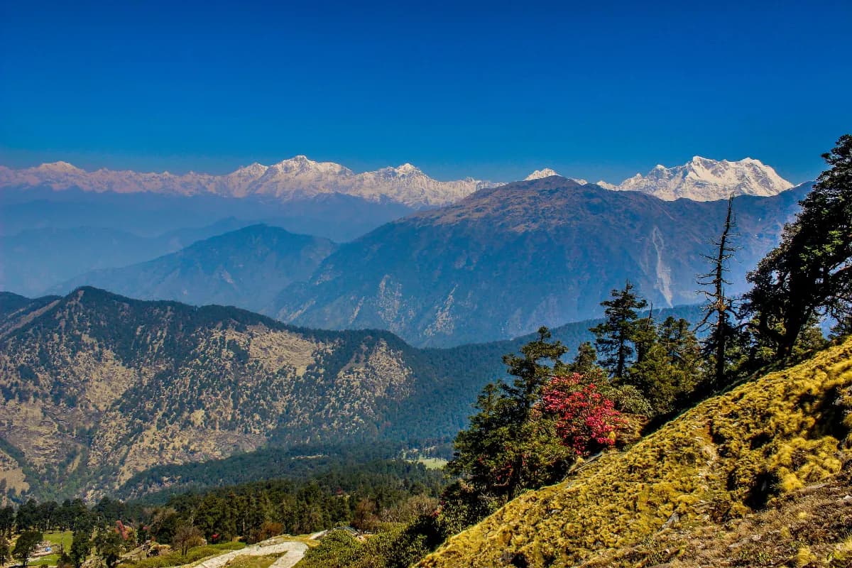 Chaukhamba peak
