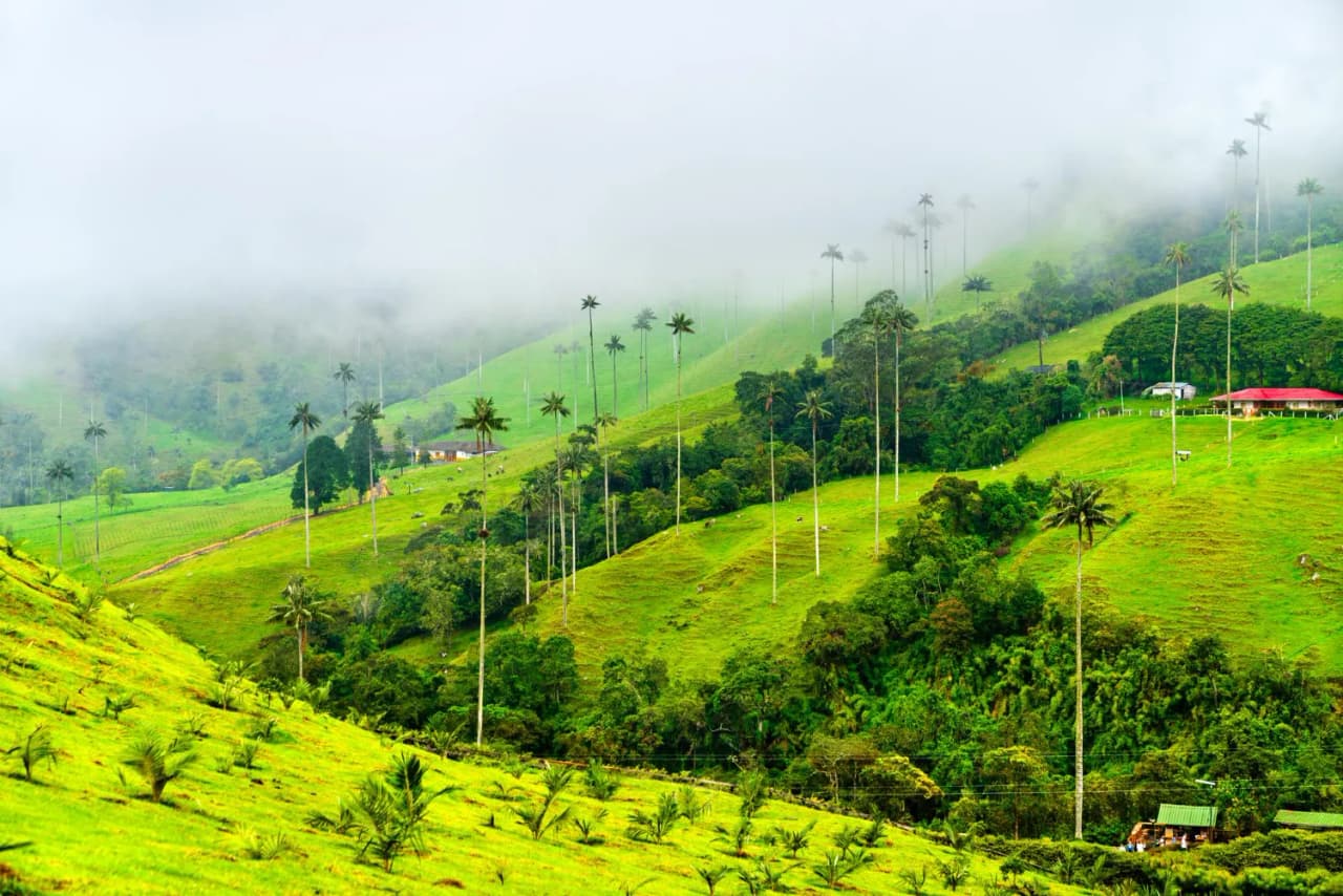 Kerala Charm & Calm with Priva