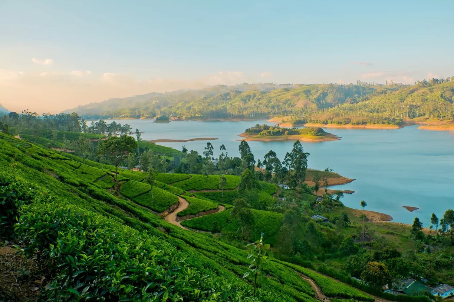 Timeless Sri Lanka