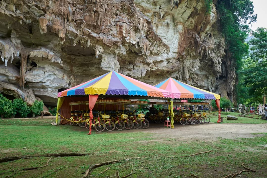 Jogging and Cycling Paths