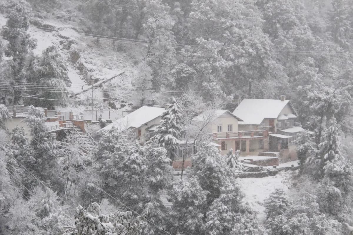 Dalhousie