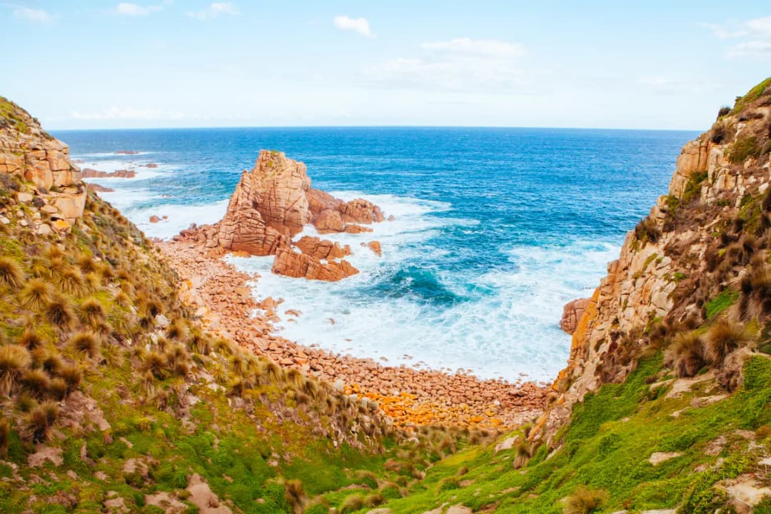 Koala Conservation Reserve